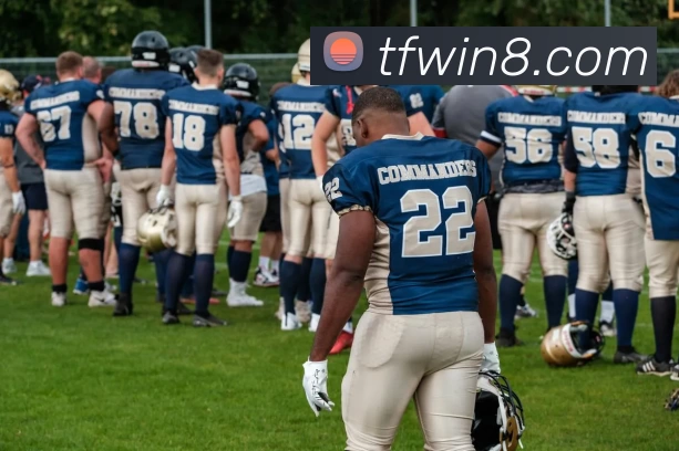 天富娱乐官网APP 封面图